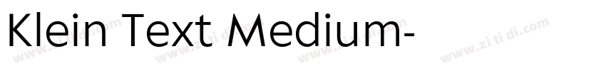 Klein Text Medium字体转换